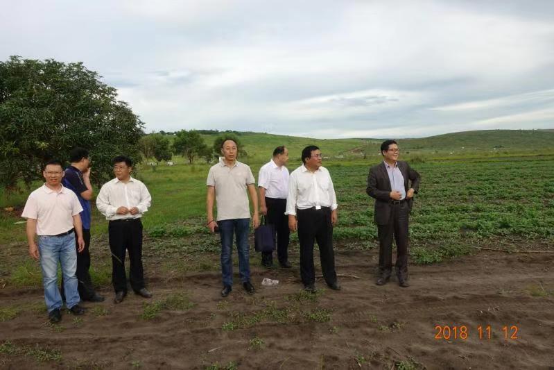 代表团与必赢两位援非农业专家一起参观试验基地